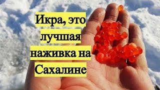 Как правильно варить икру для рыбалки