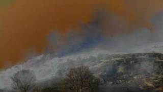 The Jesus Lizard - Bloody Mary