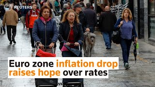 Euro zone inflation drop raises hope over rates