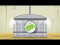 How Tea Tree Oil Is Made Cassegrain Kalara Tea Tree Oil