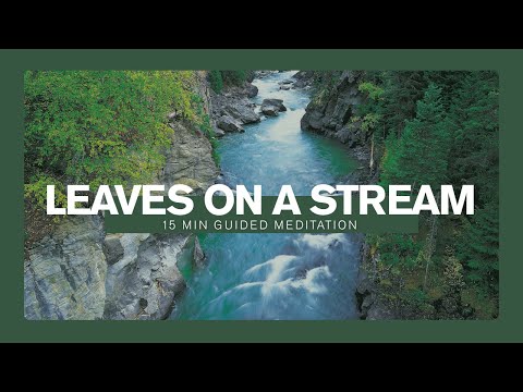 Guided Meditation: Leaves on a Stream (15 minutes) with flowing water sounds