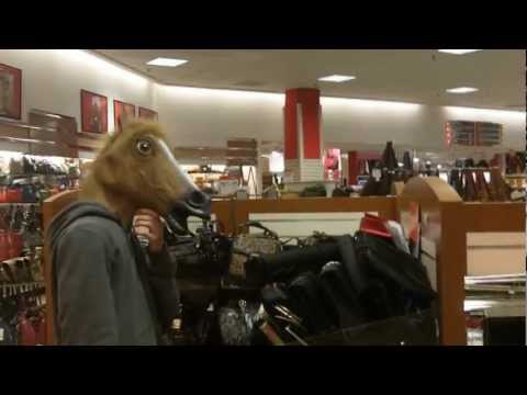 Cool horse has chill neigh