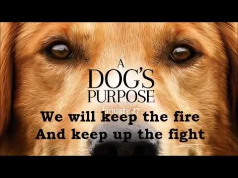 COMPANY GHOST - KEEP THE FIRE (A DOG'S PURPOSE)