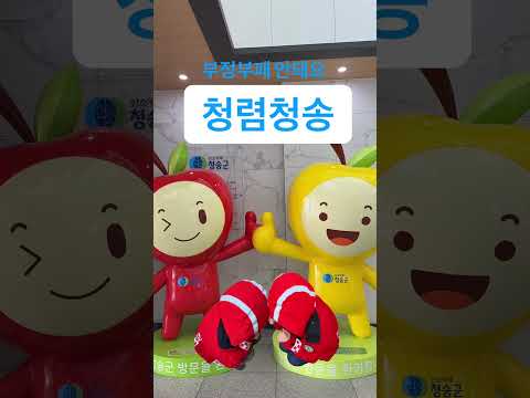 청렴청송! 부정부패 비켜!