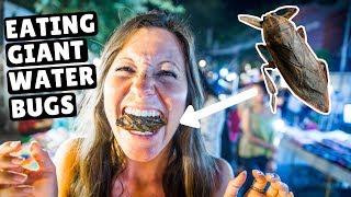 BUGS + INCREDIBLE Thai Street Food | Chiang Mai Sunday Night Market