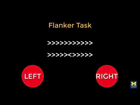 AFNI Tutorial #2: The Flanker Task