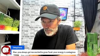 quick live