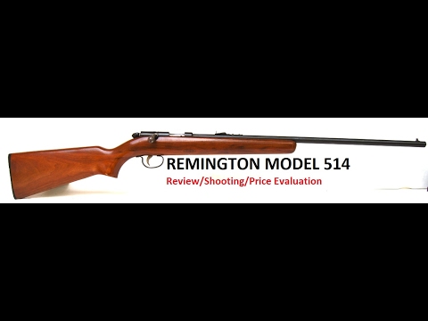 Remington R-25 308 Review \u0026 Opinion