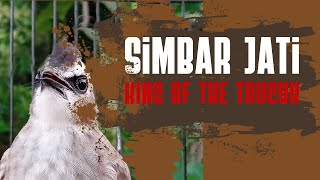 Download lagu Trucuk SIMBARJATI punya Nafas di luar nalar‼️ mp3