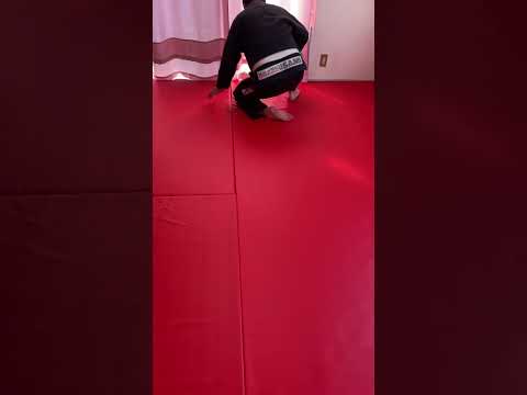【柔術】基本動作『開脚後転』#shorts #jiujitsu #bjj #柔術 #ブラジリアン柔術 #mjjlab