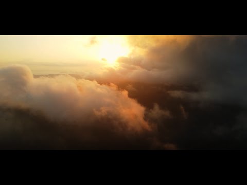 BIM One. Digital power. Human focus.