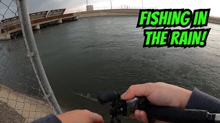 Don't Fish Overcast Days | CA Aqueduct Fishing | Iu Mien Fishing