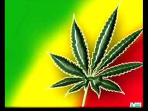 Yo Fumo Marihuana Desde Los 14 - Música Oficial