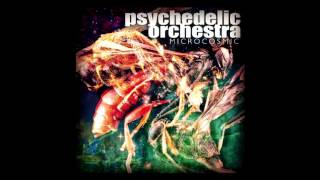 Psychedelic Orchestra 