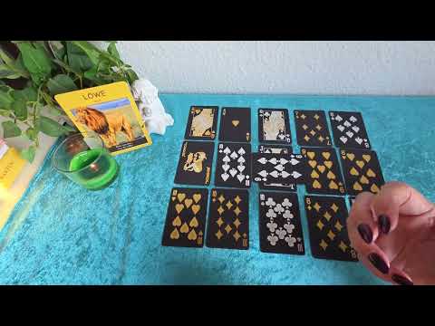 wochenorakel (08.-14.12.2025) Bitte um Unterstützung, wo es nötig ist,  aber geh weiter DEINEN Weg !