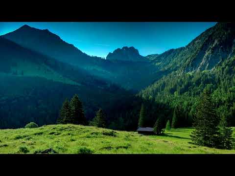 Jamie Berry Collection | Best of Electro Swing