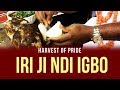Film Screening at the 7th Igbo Conference - Iri Ji Ndi Igbo - New Yam Festival in Igbo land