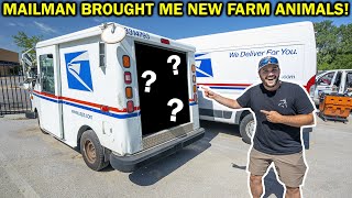 MAILMAN Delivers LIVE ANIMALS for My BACKYARD FARM!!!