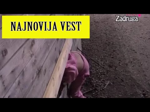 DALILA POBEGLA IZ ZADRUGE, ZA NJOM OOTIŠLA JOŠ JEDNA ZADRUGARKA