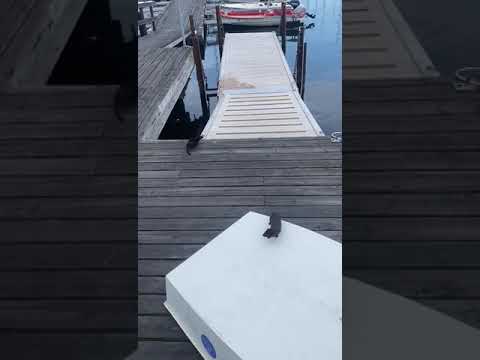 Contest 44cs, wir haben Besuch im Hafen Abbkas / Schweden.