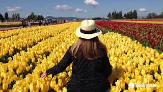 ORC Advanced Pellets Used in Excavation and Backfill Making Way for New Community Justice Center