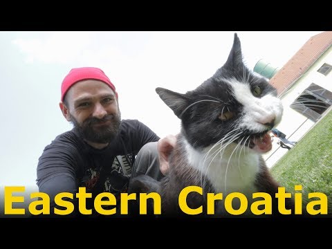 Road Trip in Croatia: Vukovar to Istria