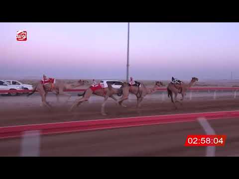  ش 2 (الشامي) لـ محمد حمدان بن قنون الدرعي 4:36:72 ، مهرجان العين 2026/07/07 لقايا الوقن