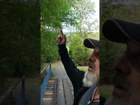 Lago Puelo, mates y reflexiones.