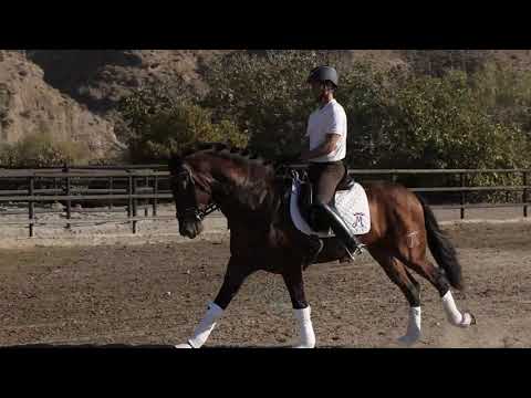 Quieto Dimoba. Noviembre 2020