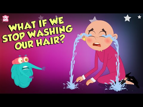 What If We Stopped Washing Hair? | Importance of HAIR WASH | The Dr Binocs Show | Peekaboo Kidz