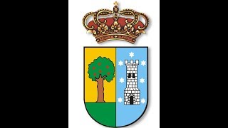 Pleno ordinario del 25  de julio de 2019