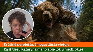 Krūtinė perplėšta, žmogus žūsta vietoje! Ką iš tiesų Kataryna mano apie lokių medžioklę?