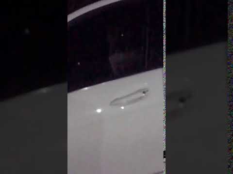 US Auto Sales - Not sure - Image 2