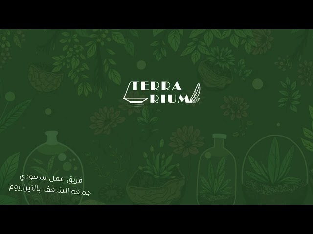 تيراريوم السنافر حجم كبير