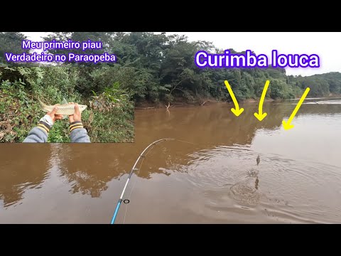 Pescaria de curimba e piau no frio !! achamos o ninho dos piau no Paraopeba !! #piau #pescaria 