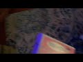 Opening To Teletubbies Baby Animals 2001 VHS