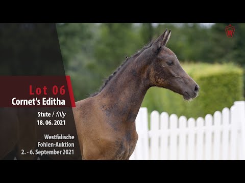 Fohlen-Auktion Lot 6 Cornet`s Editha Stute v. Cornet's Edition - Chin Quin