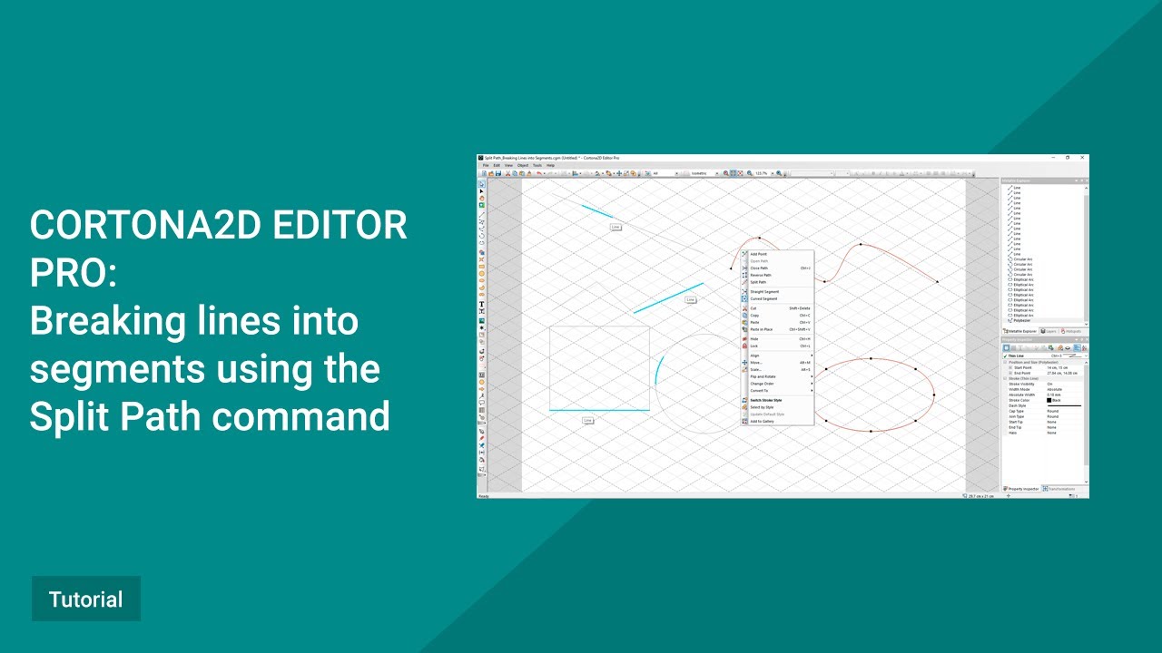 Cortona2D Edotor Pro Tutorial. Breaking lines into segments using the Split Path command