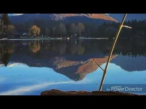 Hoku Lelei Taha - Tokos 4 Life