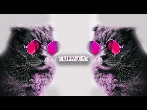 Special After Minimal Techno Mix 2020 [ Trippy Cat ]