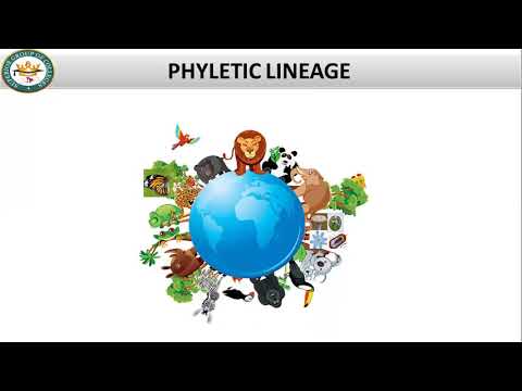 Living world in time & Phyletic Lineage Lec-8 Part-I by Muhammad Zaheer Iqbal