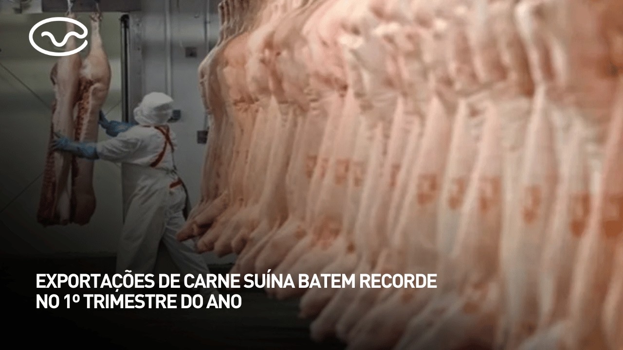 Exportações de carne suína batem recorde no 1º trimestre do ano