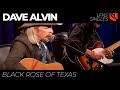 Black Rose of Texas | Dave Alvin