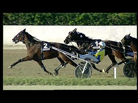 Napoli Trotto 08/10/2021 - 7ª corsa