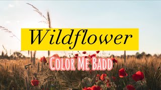 Wildflower by: Color Me Badd - lyrics