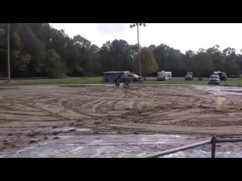 Jetta Bit N Spur 10/16/16