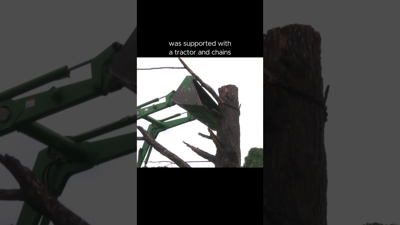 How To Film In A Tree - USING A TRACTOR