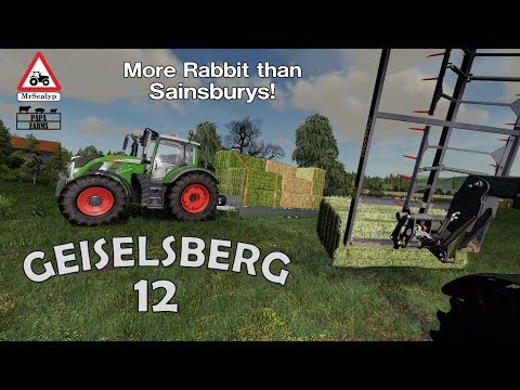 GEISELSBERG, #12, Farming Simulator 19, PS4, Let's Play/Role Play. More Rabbit than Sainsburys!