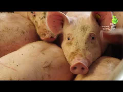 KERNgezondTV Aflevering 13 wk03 2021