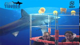 DIA 2 Expo Tiburon312